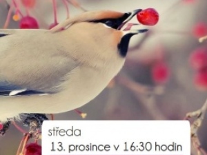 Koncert žáků ze třídy p.uč. D.Holišové