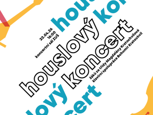 Houslový koncert