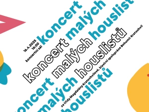 Koncert malých houslistů
