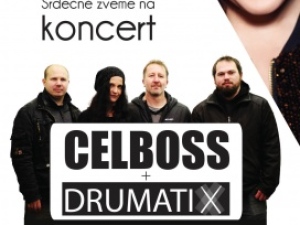 Festival ZUŠ Alfréda Radoka 