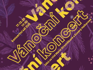 Vánoční koncert