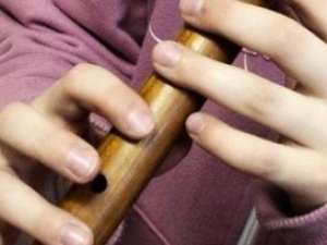 Třídní předehrávka flétnové třídy p. uč. Zuzany Haikerové