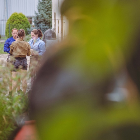 Komin 10 09 2025 1511869 (1)