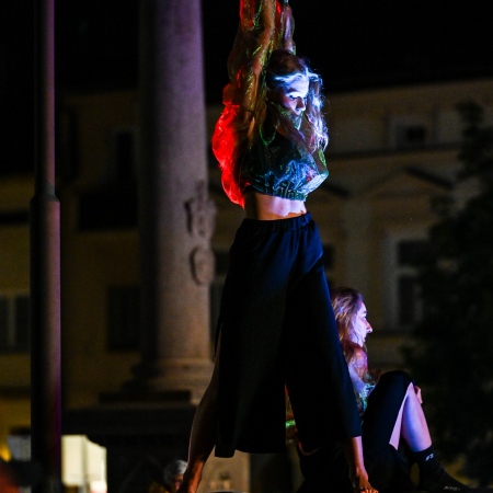 DSC 6162