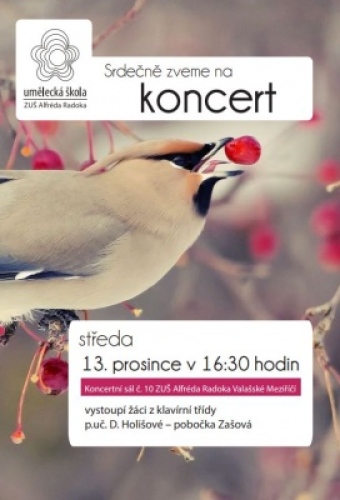 Koncert žáků ze třídy p.uč. D.Holišové