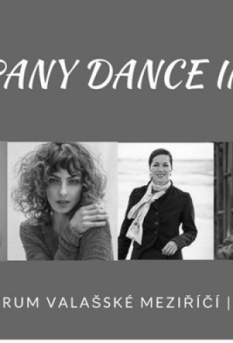 D-company Dance Intensive/taneční workshopy