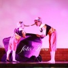 IMG_0633.jpg